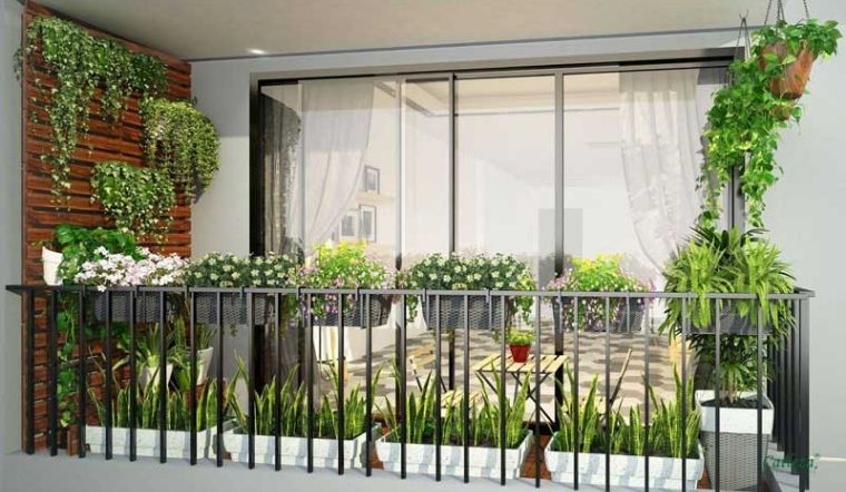 Lợi ích của việc trồng cây trồng ban công